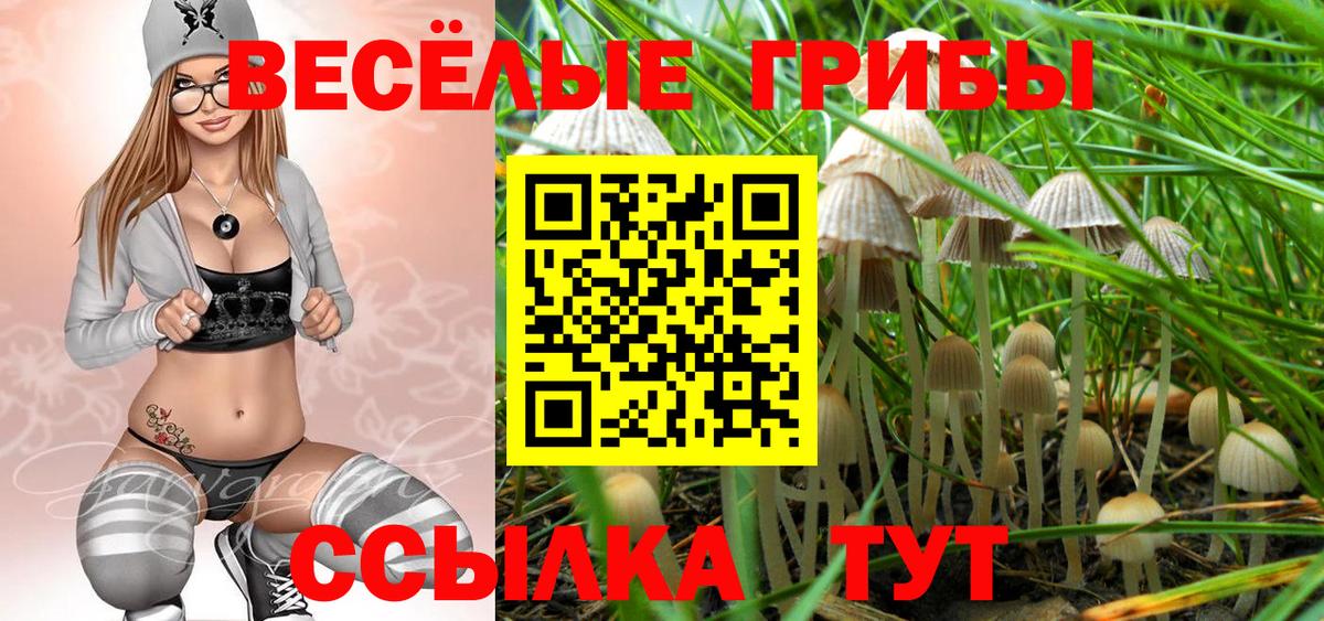 Галлюциногенные грибы мицелий  Вход с VPN  Санкт-Петербург 
