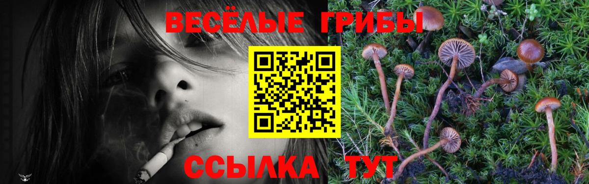 Псилоцибиновые грибы мухоморы Санкт-Петербург